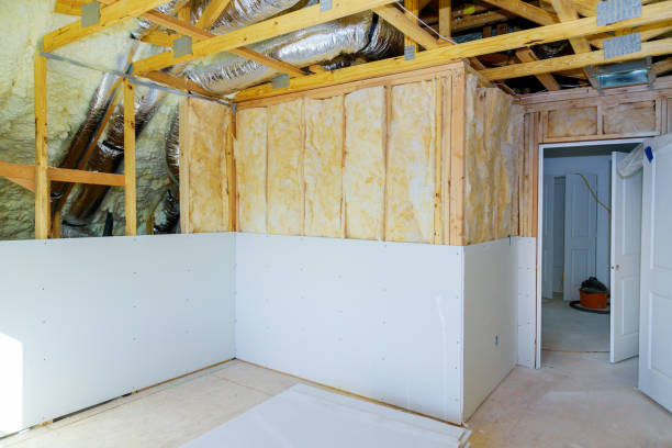 Best Insulation Installation Services in Cole Camp, MO